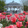The Gazebo