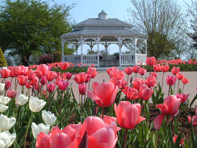 The Gazebo