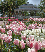 gazebo with flowers